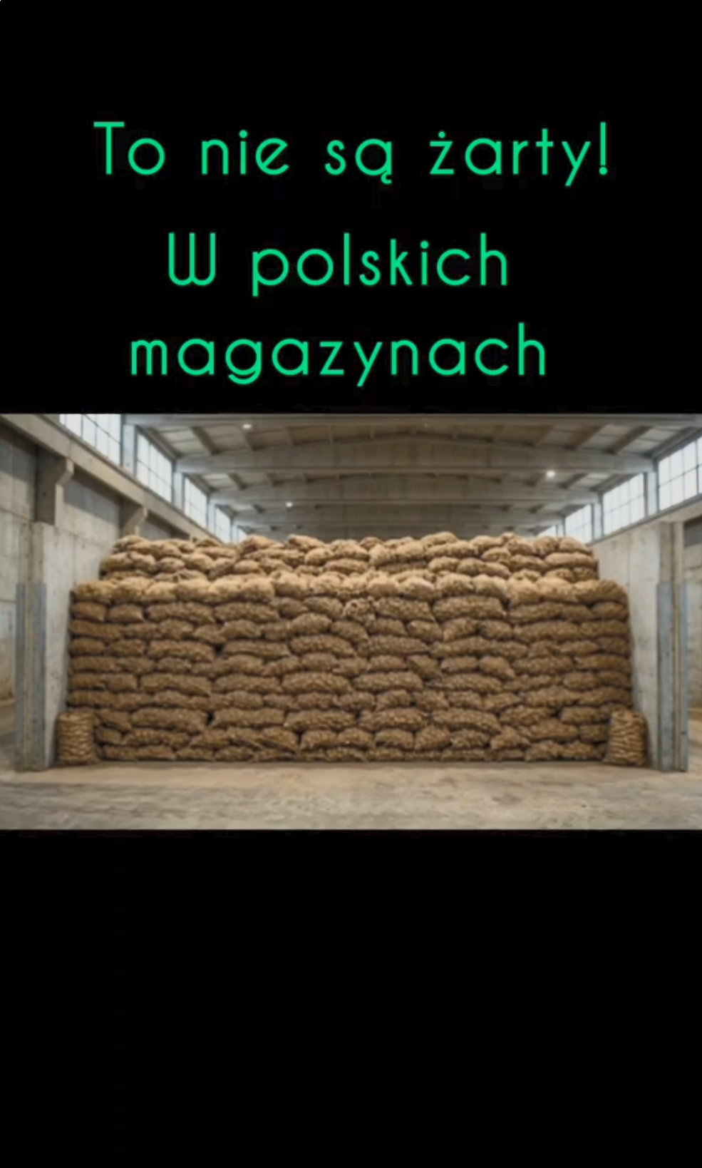 Okazja: Alert! 7 MILIONÓW TON ZIEMNIAKÓW CZEKA W MAGAZYNACH! 🥔🇵🇱
